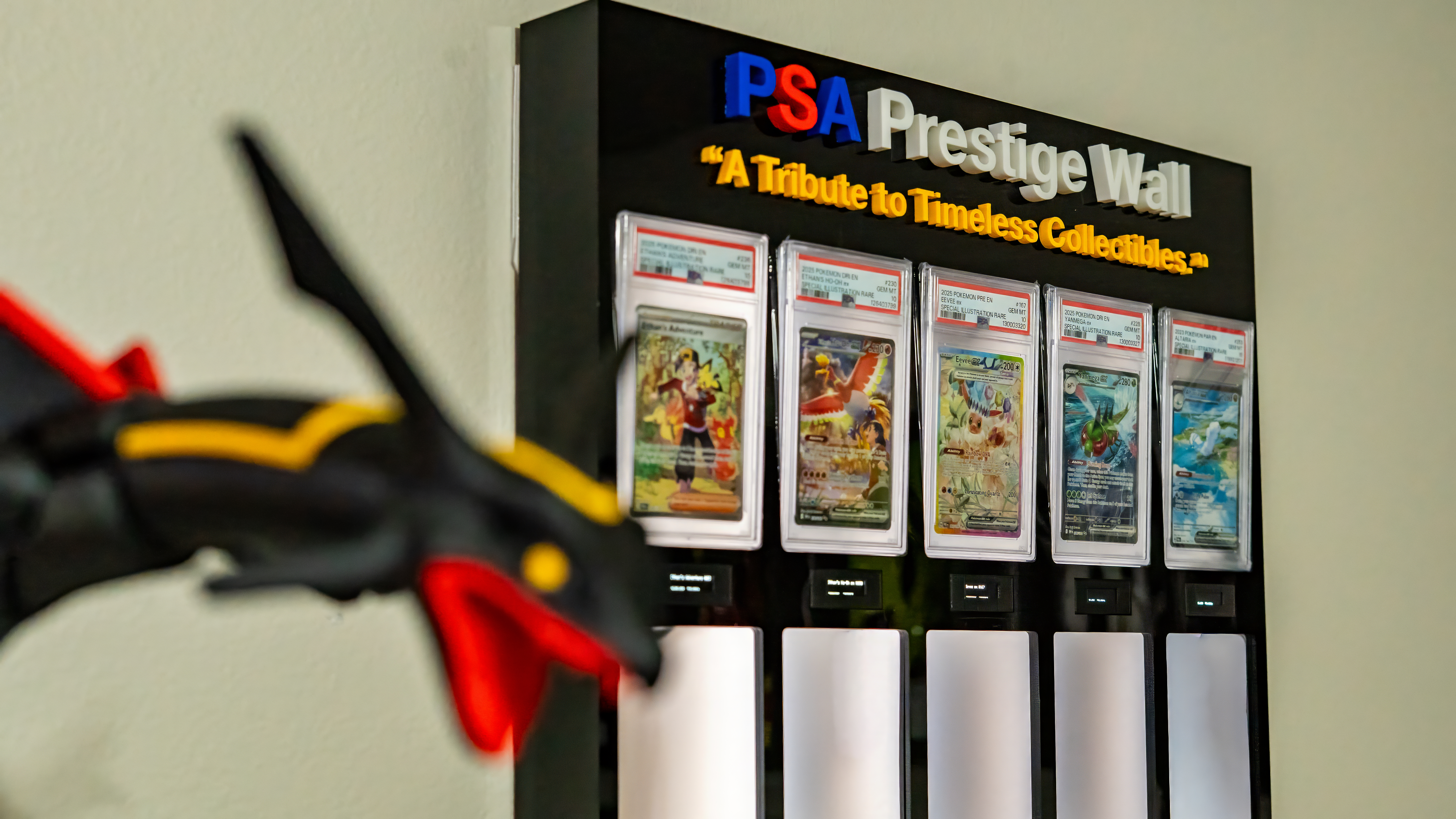 Edited-03102-topaz-denoise-sharpen copy